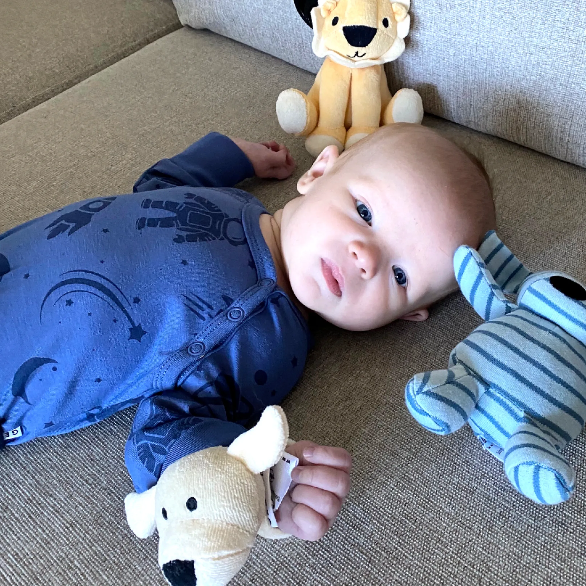 Geggamoja Mjukisdjur Och Doddi<Handledsskallra beige Doddi