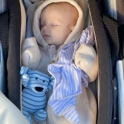 Geggamoja Mjukisdjur Och Doddi<Mini Doddi Blårandig