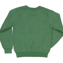 Barn Geggamoja Tröjor<Stickad tröja med Doddi Grön